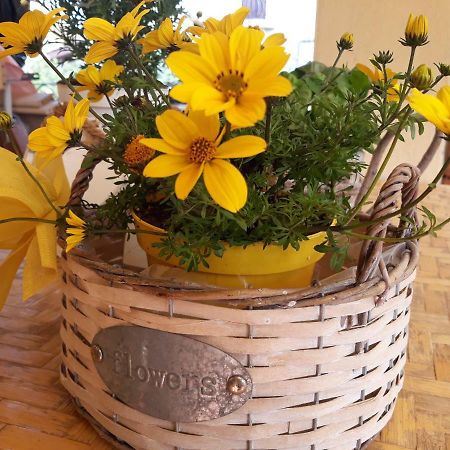 شقة Flowery House روما المظهر الخارجي الصورة