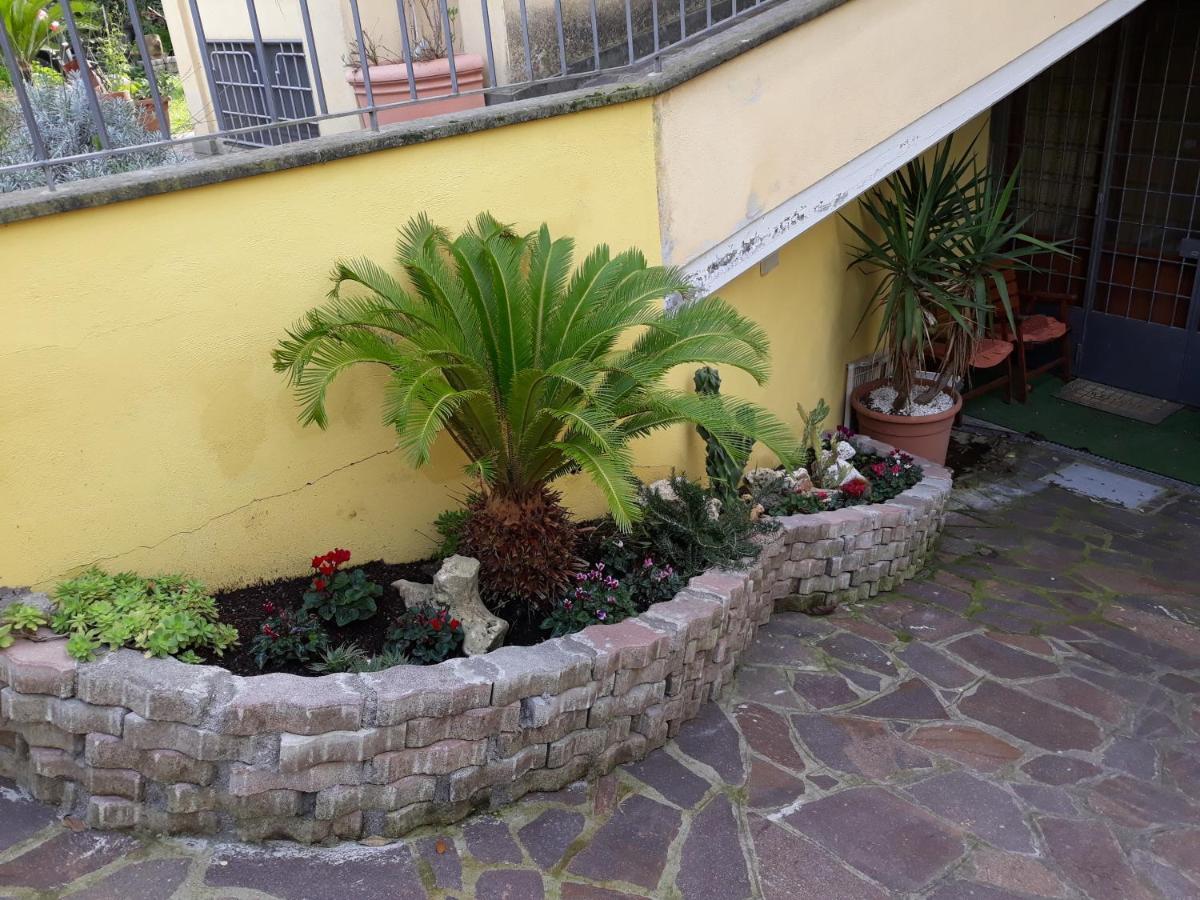 شقة Flowery House روما المظهر الخارجي الصورة