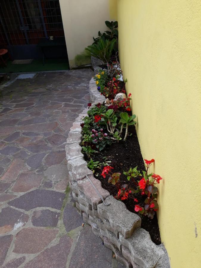 شقة Flowery House روما المظهر الخارجي الصورة